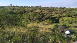 Lote en venta en Villa General Belgrano 7.000 m² o más