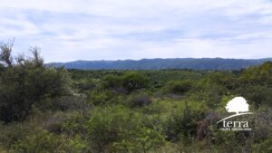 LOTE 4, MANZANA 144 EN VENTA DE 9910 m²