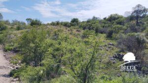 Lote en venta en Villa General Belgrano - Más de 8.000m²