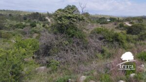 Lote 2 y 3, Tierras del Sauce en Villa General Belgrano - En venta