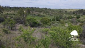 Lote 2 y 3, Tierras del Sauce en Villa General Belgrano - En venta
