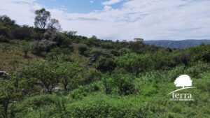 Lote en venta en Villa General Belgrano - Más de 8.000m²