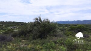 LOTE 4, MANZANA 144 EN VENTA DE 9910 m²