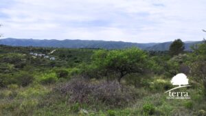 LOTE 4, MANZANA 144 EN VENTA DE 9910 m²