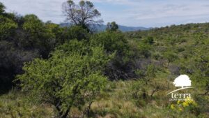 Lote en venta en Villa General Belgrano - Más de 8.000m²
