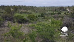 Lote 2 y 3, Tierras del Sauce en Villa General Belgrano - En venta
