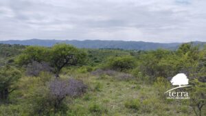 LOTE 4, MANZANA 144 EN VENTA DE 9910 m²