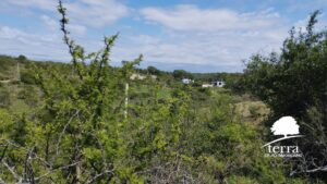 Lote en venta en Villa General Belgrano - Más de 8.000m²