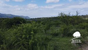 Lote 2 y 3, Tierras del Sauce en Villa General Belgrano - En venta