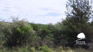 LOTE 4, MANZANA 144 EN VENTA DE 9910 m²