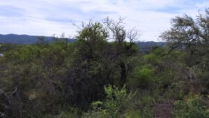 LOTE 4, MANZANA 144 EN VENTA DE 9910 m²