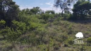 Lote 2 y 3, Tierras del Sauce en Villa General Belgrano - En venta