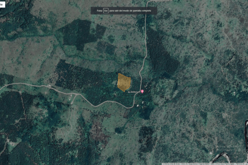 Mapa Satelital - Campo Lote 1 - Ochetti, Carlos