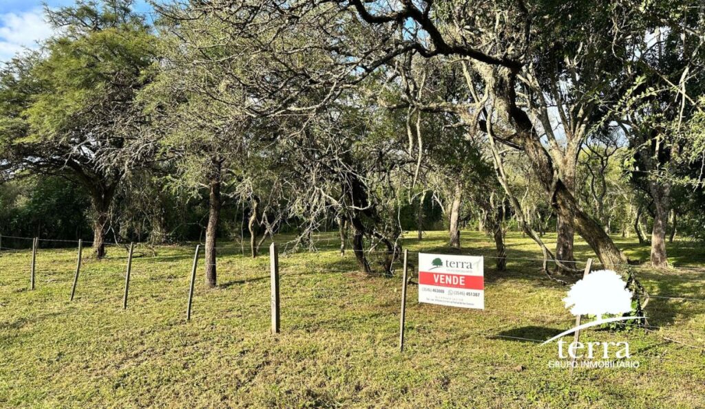 Lote en La Ensenada