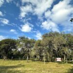 Lote en La Ensenada