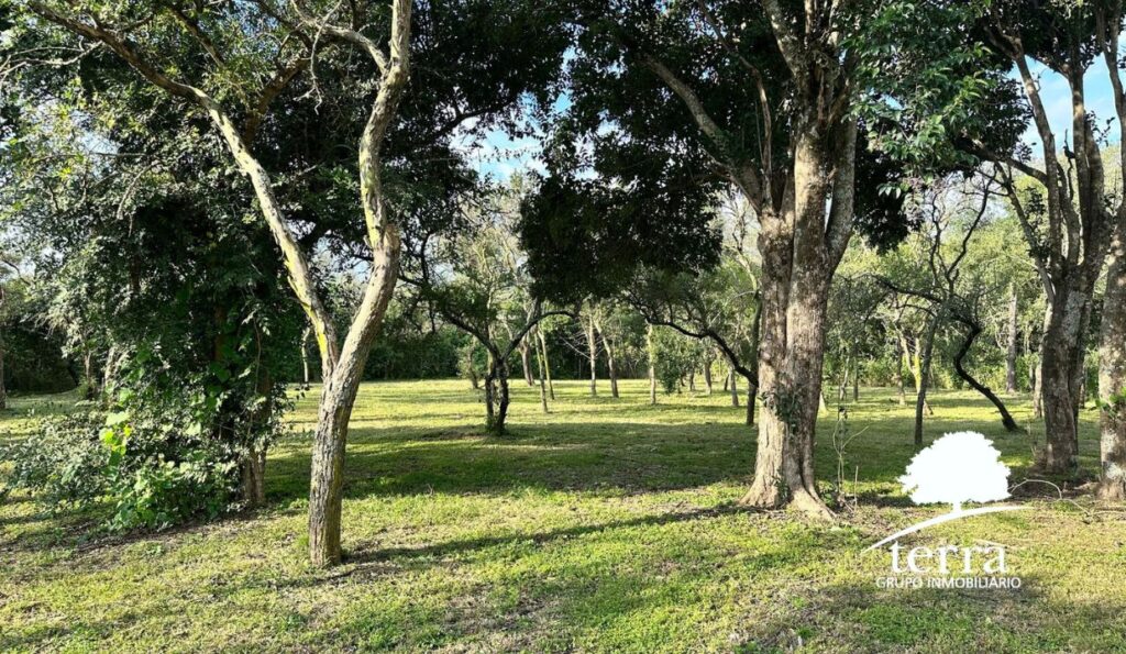Lote en La Ensenada