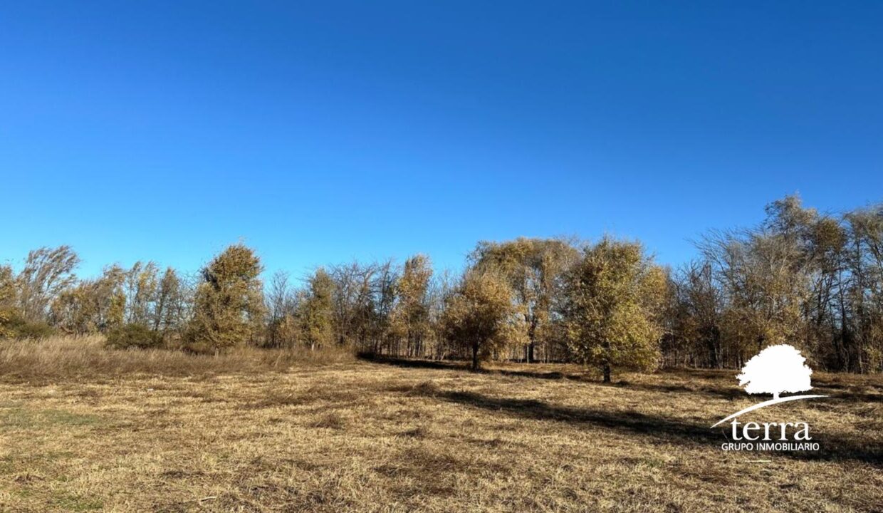 Lote en venta en Pampa de Los Vascos