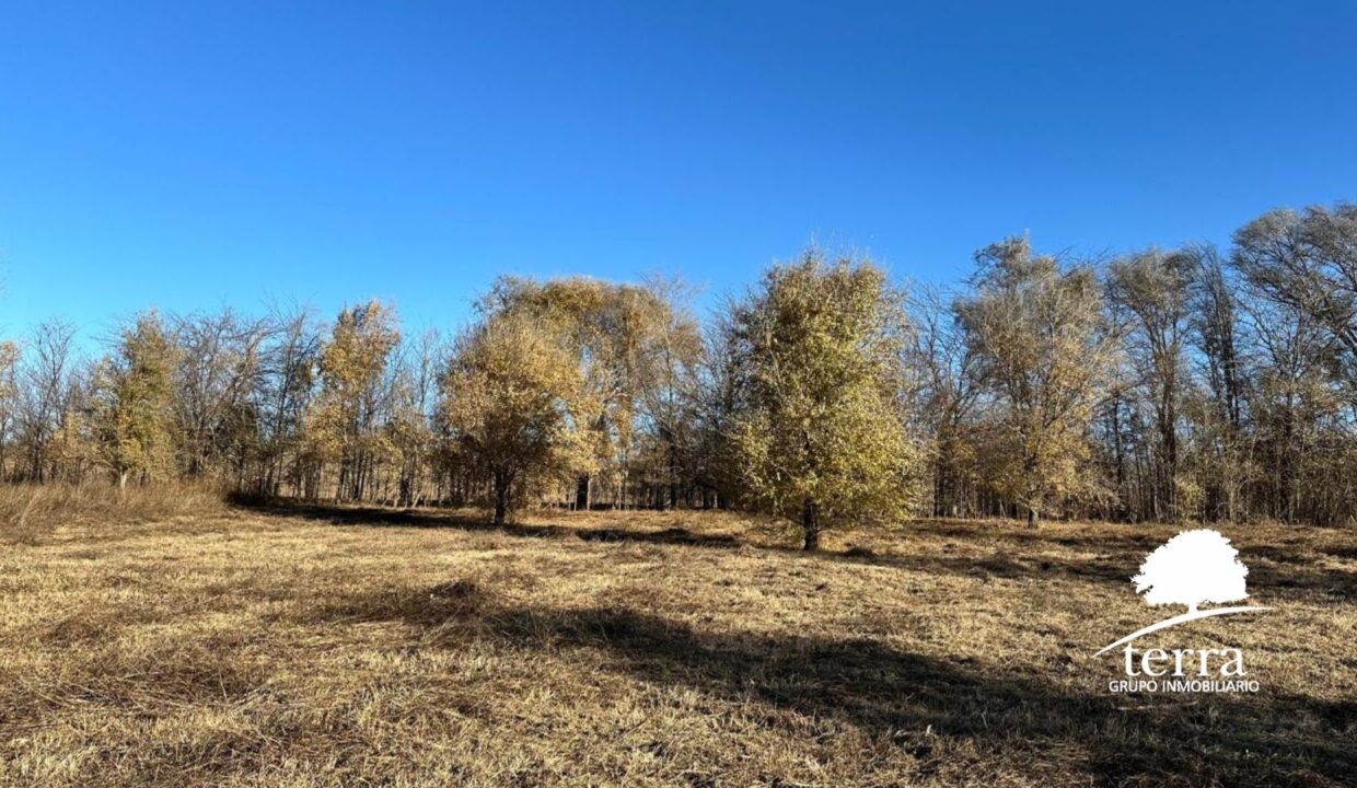 Lote en venta en Pampa de Los Vascos