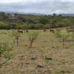 lote en venta en Tierras del Sauce con costa de arroyo