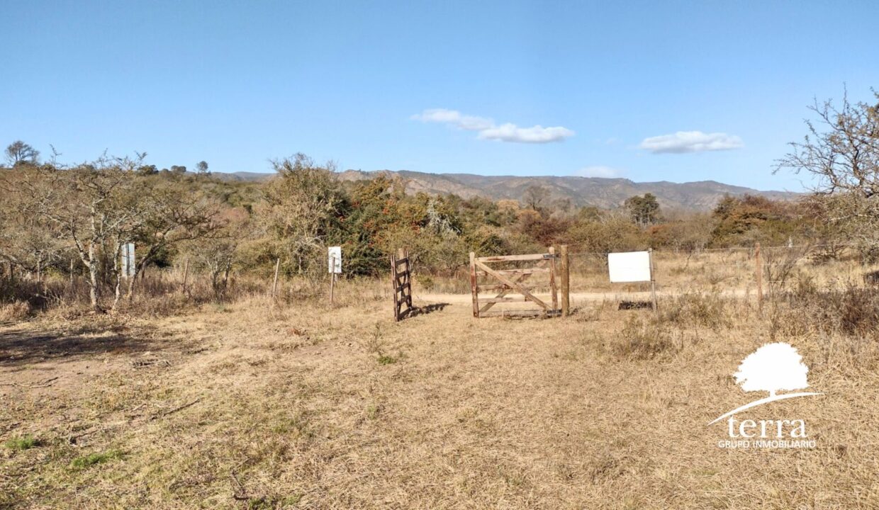 Lote tierras tranquera