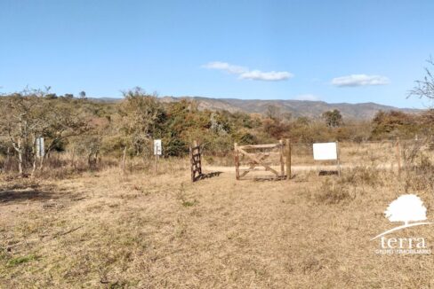 Lote tierras tranquera